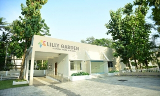 JOLLYS LILLY GARDEN