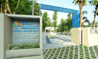 JOLLYS LILLY GARDEN